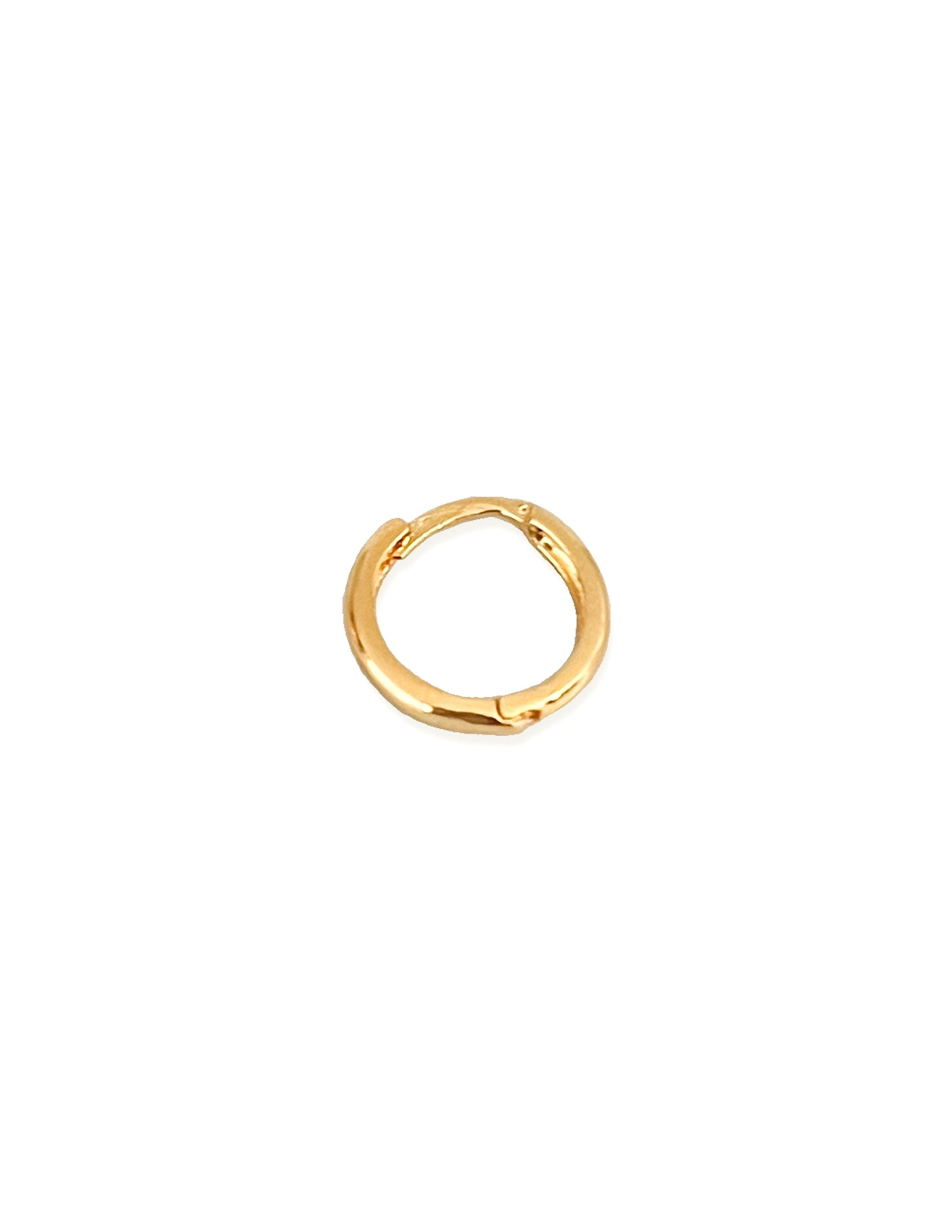 Jupiter Small Hoop Earrings