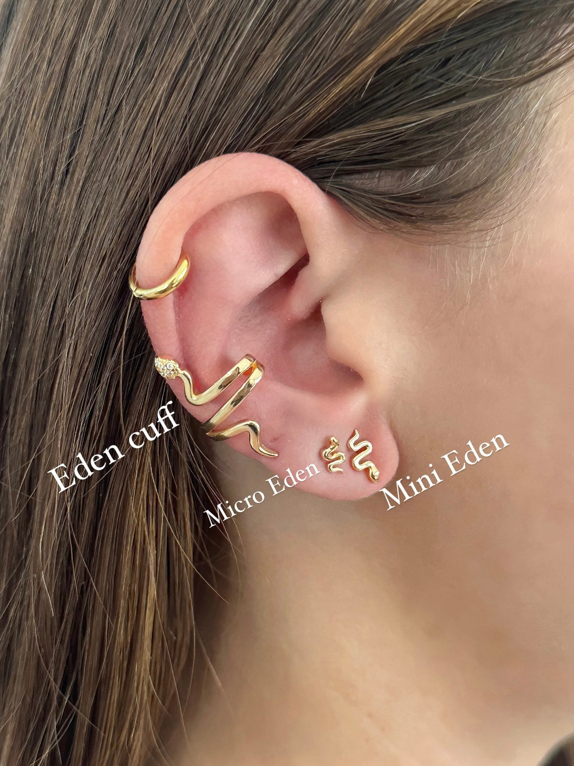 Eden Micro Earrings